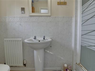 Picture 8